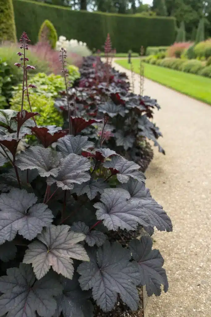 13 Elegant Black Ground Covers to Add Mystery to Your Garden 4 bm 3