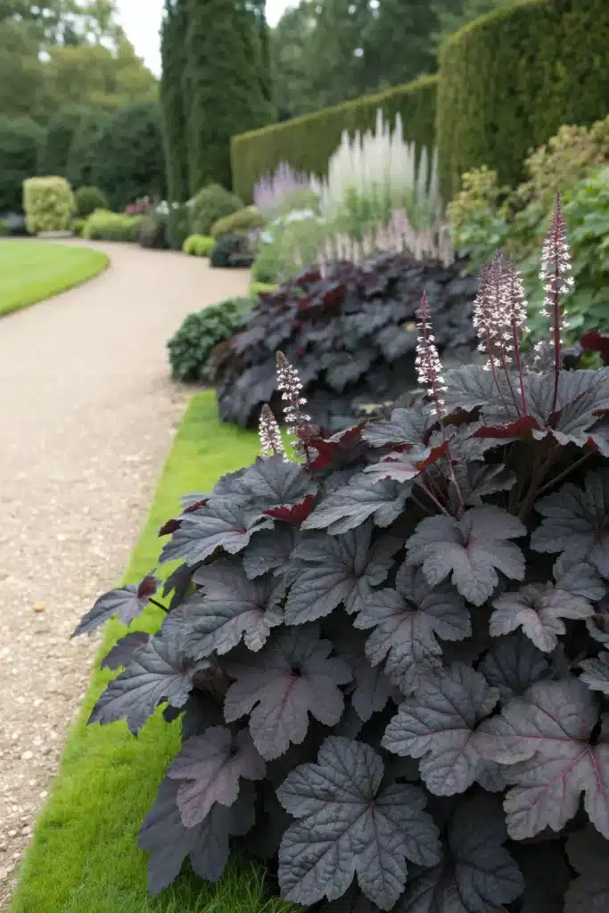 13 Elegant Black Ground Covers to Add Mystery to Your Garden 8 bm 7