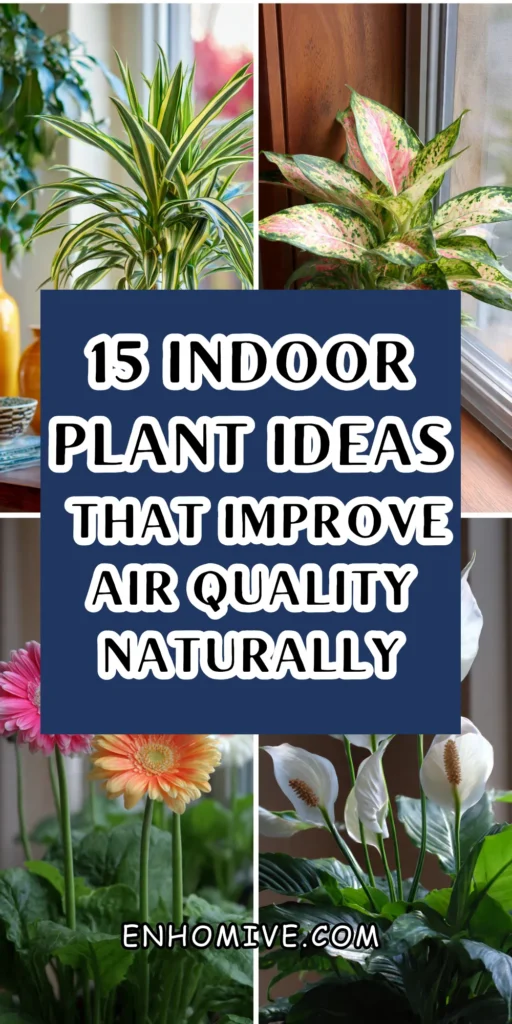 15 Indoor Plant Ideas That Improve Air Quality Naturally 1 7 10 3