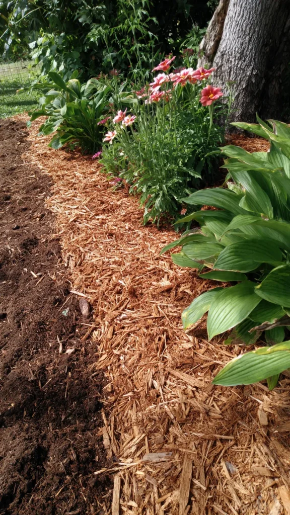 15 Front Yard Landscaping Ideas That Make a Strong First Impression 9 wd8