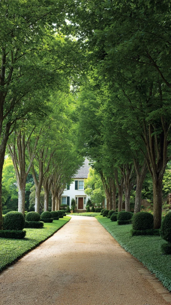 15 Driveway Border Landscaping Ideas: Elevate Your Home's First Impression 15 uh 14