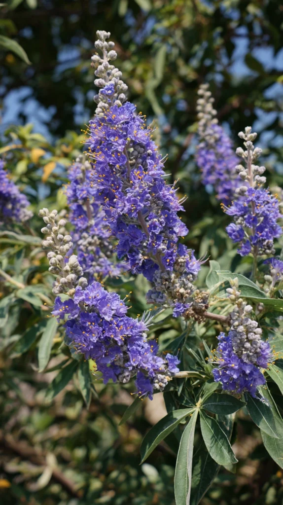 15 Longest Blooming Trees and Shrubs for a Garden That Never Stops Flowering 16 ok 15