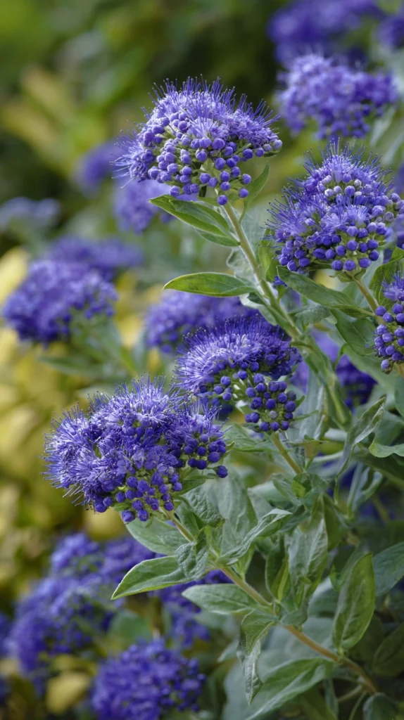 15 Longest Blooming Trees and Shrubs for a Garden That Never Stops Flowering 7 ok 6