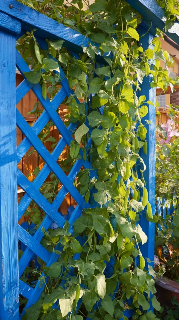 15 DIY Pea Trellis Ideas for Your Garden 16 wf 15 1