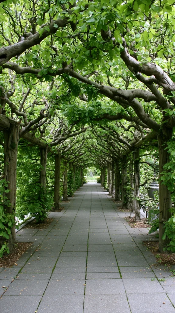 15 Summer Garden Pathway Ideas That Look High-End 9 fg 8