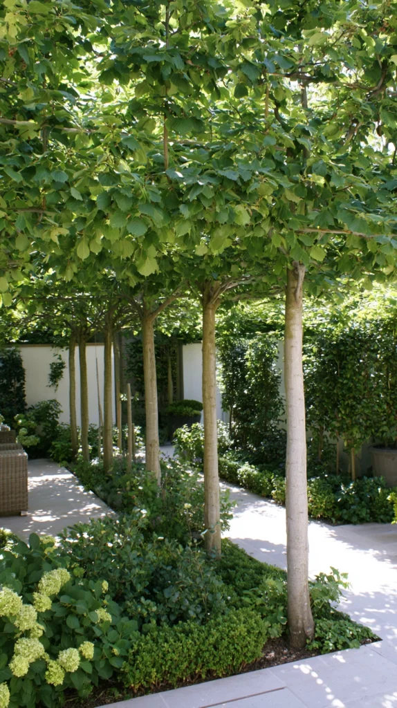 13 Courtyard Privacy Ideas Without Tall Fences (Light-Friendly Solutions) 2 tq 1