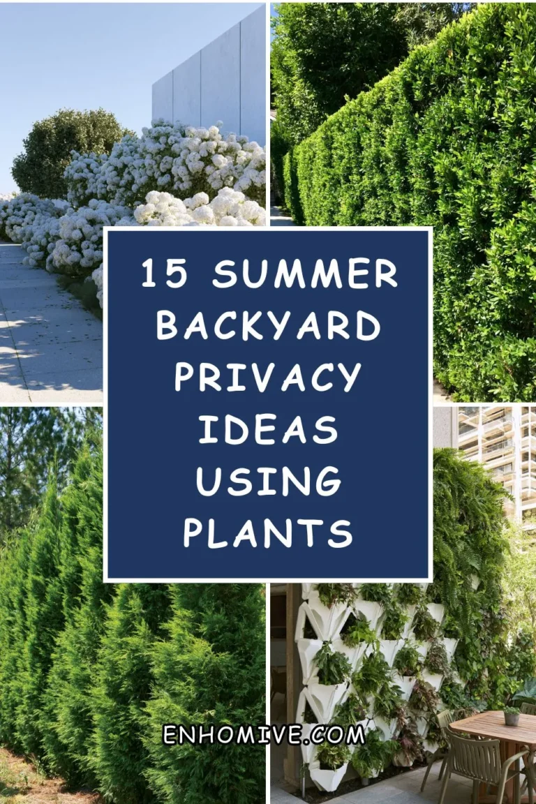 15 Summer Backyard Privacy Ideas Using Plants