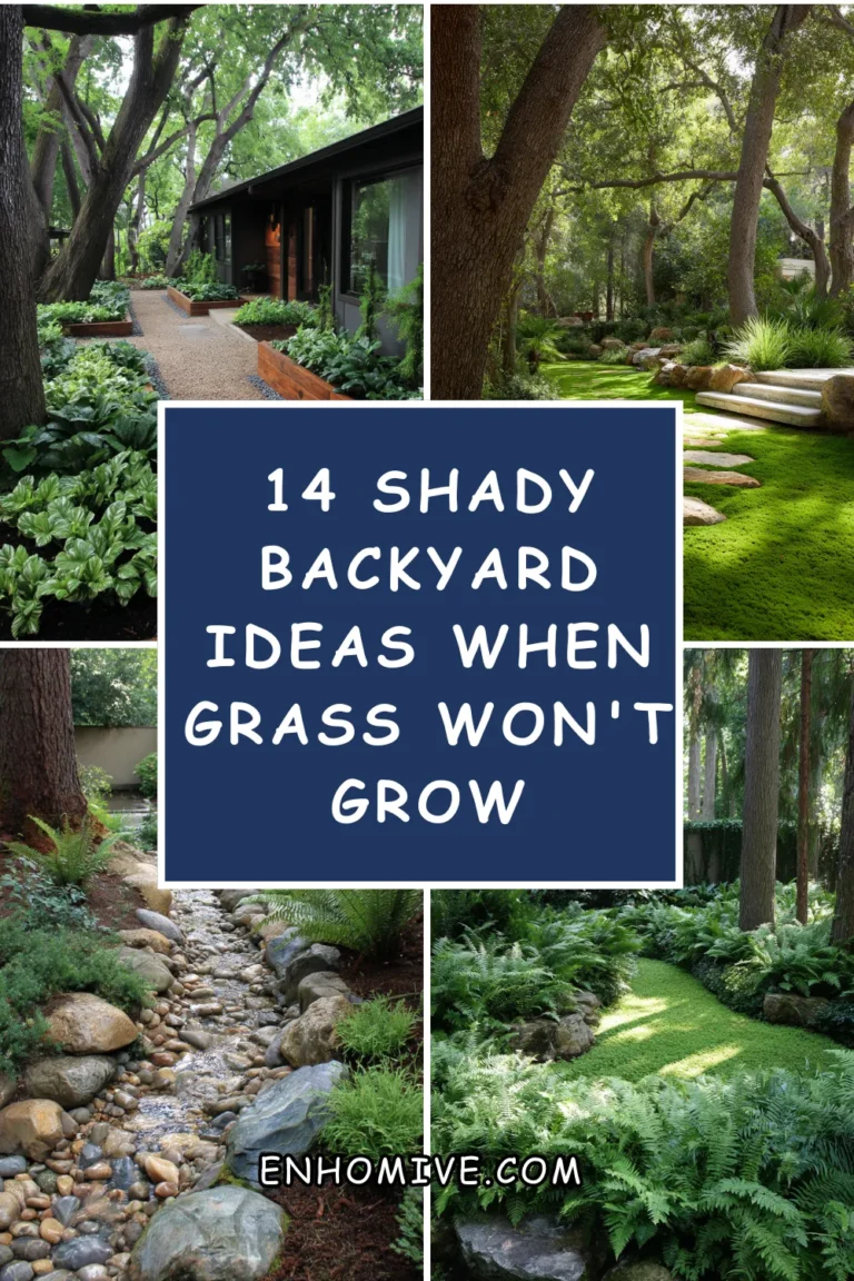 14 Shady Backyard Ideas When Grass Won’t Grow